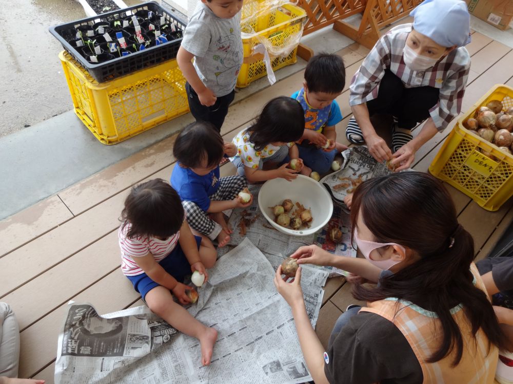 外は雨・・・
ゆめはうすのいろいろな部屋に探検に♡



「あるこ～あるこ～♪」　歌いながらキリン組の部屋の前まで行くと・・・
給食の先生が、
「みんなでこの玉ねぎをむいてくれる～」　声をかけてくれました