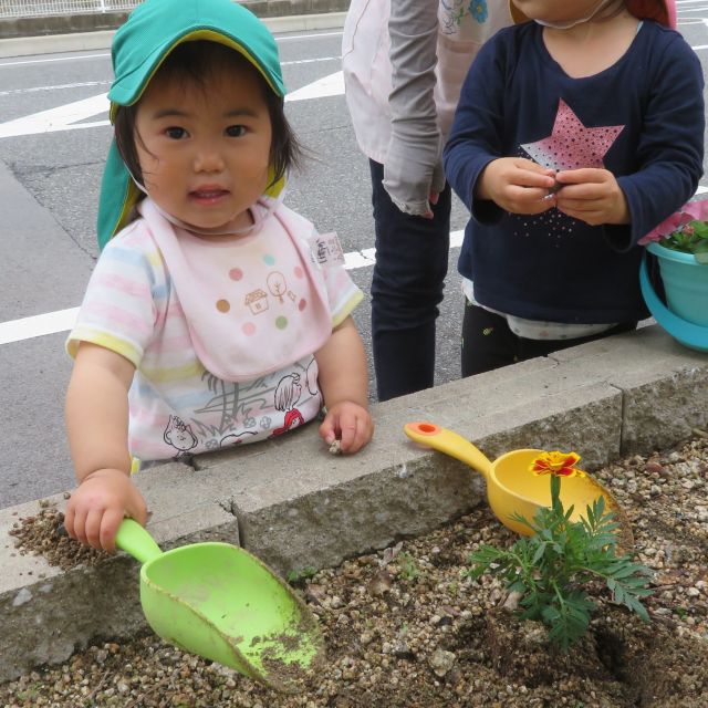 お花植えたよ