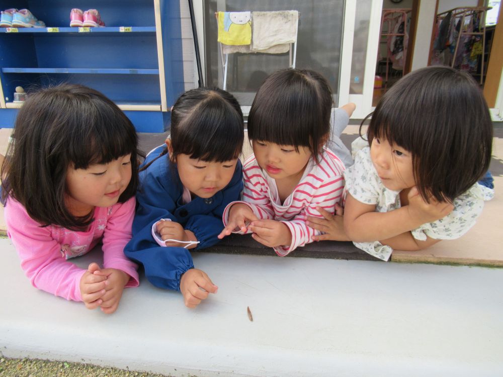 すると今度はリス組の下駄箱の所に、ナメクジがこんにちは♡

「つんつんしてみよー」　「わ～やわらかい」　と盛り上がる女の子４人組がとっても可愛いですね♡

その季節ならではの様々な虫との出会いを楽しんで欲しいと思います