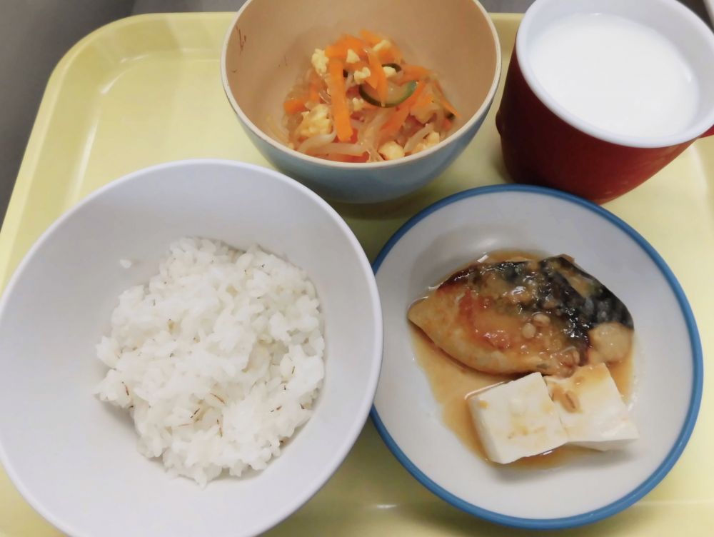 麦ご飯

さばのみそ煮

付け合わせ（豆腐）

春雨と炒り卵のサラダ

牛乳


