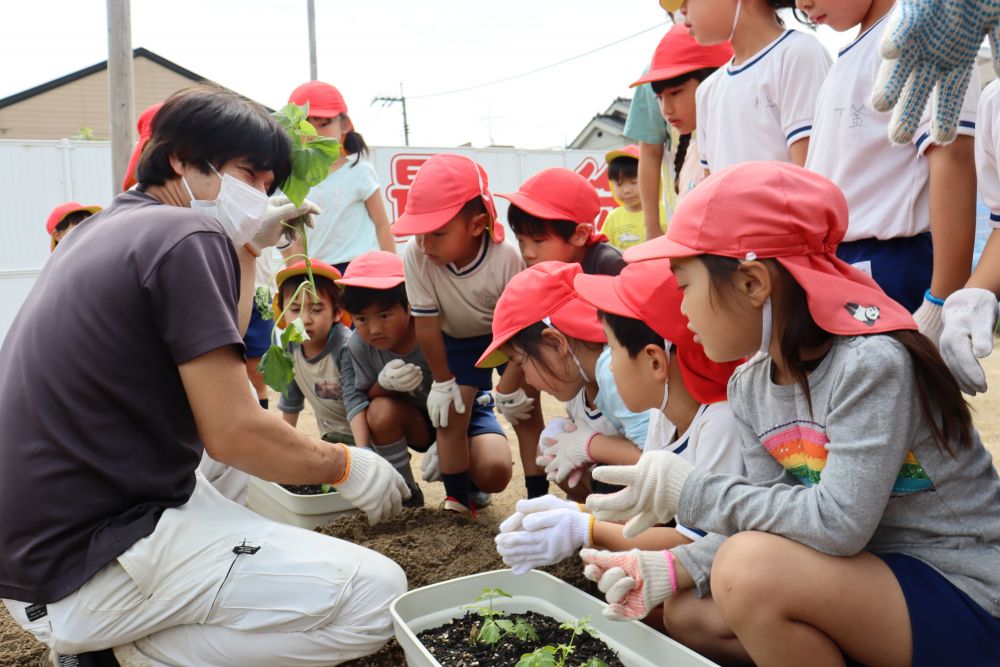 今まで栗原にある「いきいき畑」に行って、門田認定こども園の友達と菜園活動をしていましたが、緊急事態宣言に伴い、園庭に畑を作りました

松浦先生にサツマイモの植え方を教えてもらいました