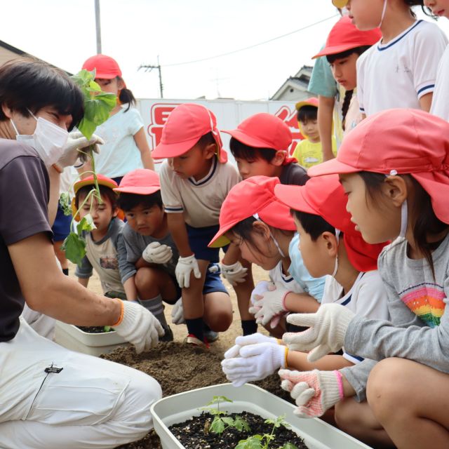 ＊　5歳児　菜園活動　＊