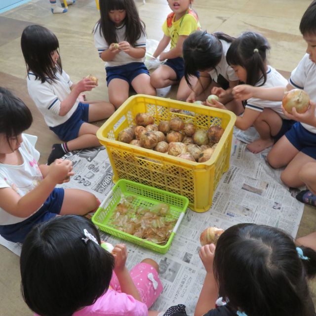 たまねぎ　＊5歳児＊