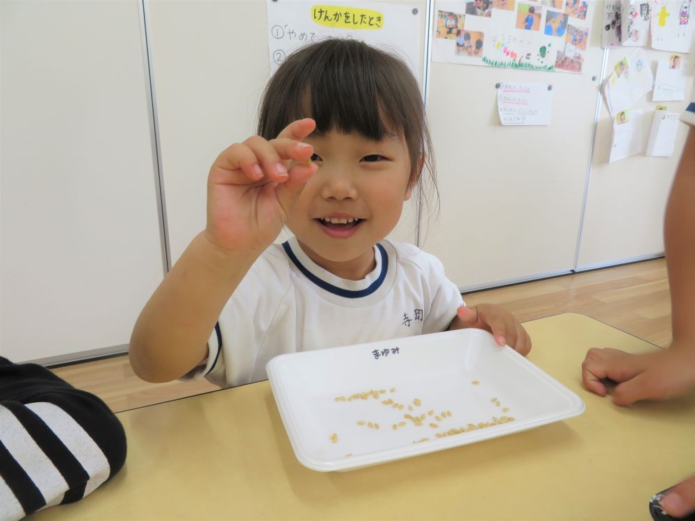 例年、地域の方のご厚意で体験させていただいていた【田植え】。
今年も6月に予定していましたが、緊急事態宣言の延長や、新型コロナウィルス感染症予防を考え、中止となりました。
大きな田んぼでの【田植え】体験はできませんが、同じような体験ができないかなと考え・・・

去年から始めた“種もみからの米作り”。
今年も行う中で、バケツや発泡スチロールではなく、園庭にミニ田んぼを作ろう！という案が出て・・・
考えたのが“バケツ稲”ならぬ“タイヤ稲“。
土作りと苗作りを同時進行で行いますよ♪
さぁ、うまくできるかな？？

〈5月24日〉種もみをまく
子ども達が家から持ってきたトレイに、ＪＡさんからいただいた“種もみ”をいれます。
「ちっちゃいね～」
「鼻息でとぶ！」と、楽しく種まき♡
種もみが隠れるくらい水を入れたら、初日の作業は終了！