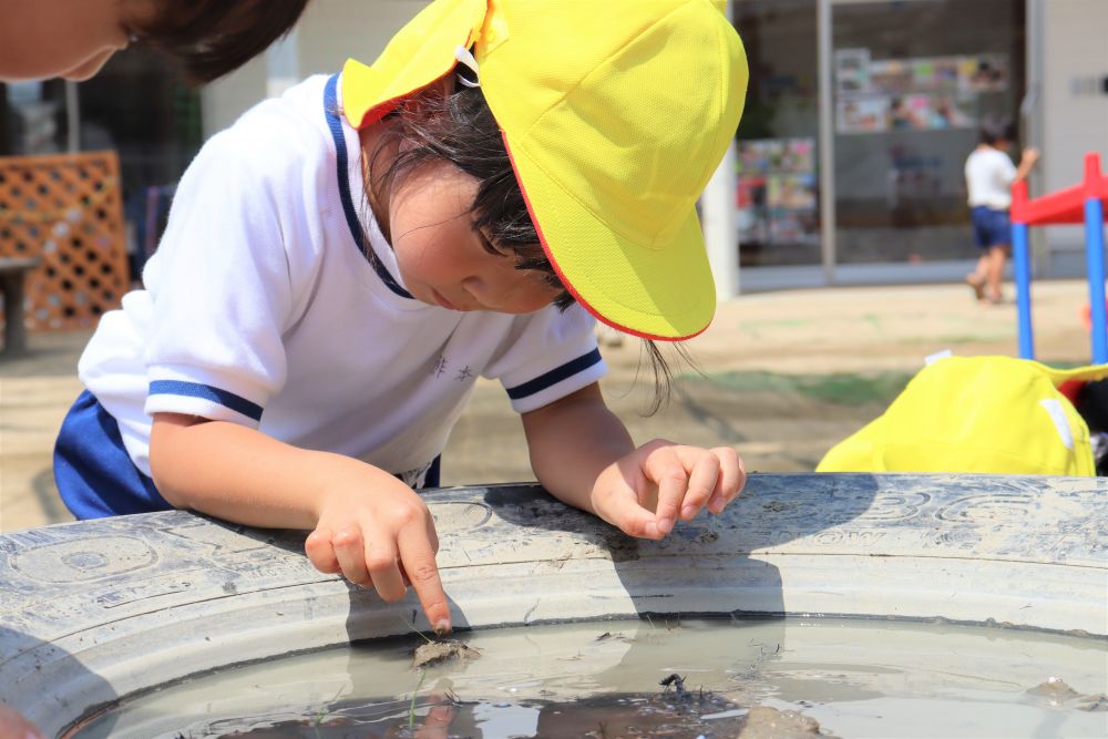 先日の雨の影響か、タイヤによって水の量が違い、水が多いタイヤは、植えるのが少し難しそうでした。
土に植えたつもりでも、ぷか～っと浮いてきたり・・・
苗がぷかぷかしているタイヤを見たＨ君が、
「種のとこ持ってぐーっておすんよ。そしたら土の中に入るけぇ」
「指でおしても良いよ」と、友達に教えてあげていました。
「おれ、やったことないのに何でこんなにできるんじゃろ」と自画自賛♡

今回の米作りの中で、｢教え合う｣｢協力し合う｣｢笑い合う｣などいろんな姿が見られました。これからの活動でも、どんな姿を見せてくれるか楽しみです♪