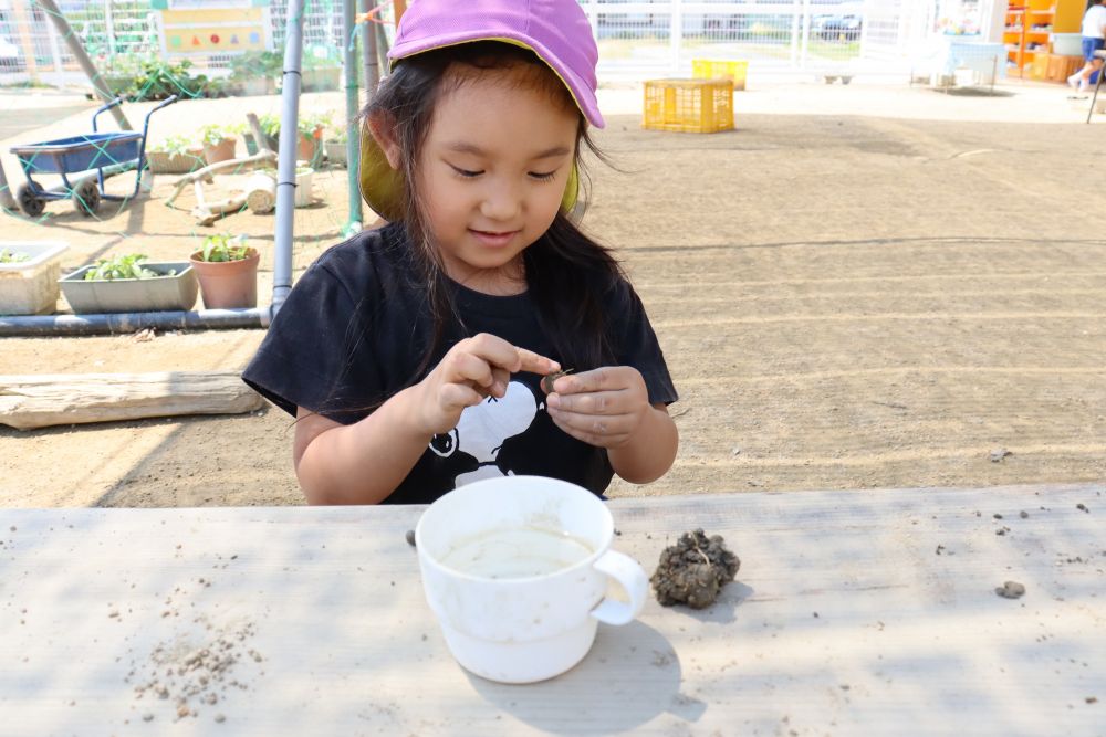 「この土をね・・　手でチョンチョンした水で濡らすと粘土になるの」

ー　なるほど!!　それは面白い　ー

水で濡らしたり・・　指先で形にしたり・・
一緒に遊んでみると、これが結構面白い!!

水の量も大切みたいで・・
「つけすぎ～」　と注意もされる

