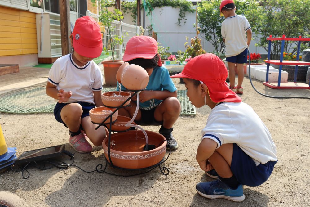 朝、突如園庭に現れた　ソーラーパネルで動く滝？

「先生、これどうなっとん？ピタゴラスイッチみた～い」
「ん～、それはこのパネルが太陽の光を集めてポンプを動かして水を吸い上げようるんよ」

・・・この説明できちんと伝わるかな・・・？