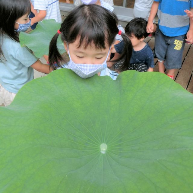 あめふり　りすのこ　＊３歳児＊