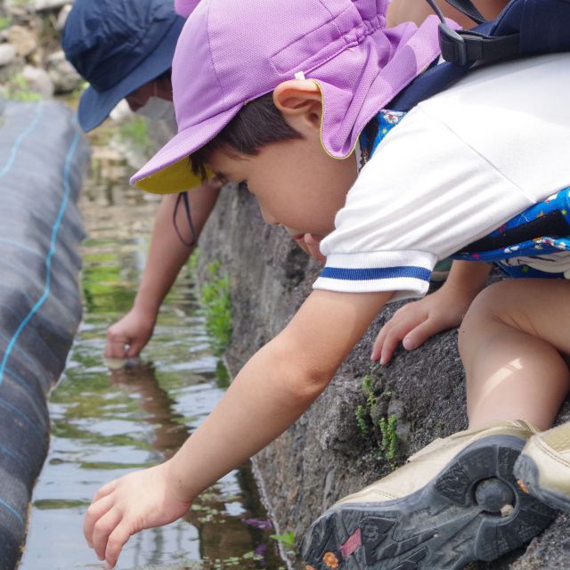 あっち！そっち！つかまえた！　＊4歳児＊