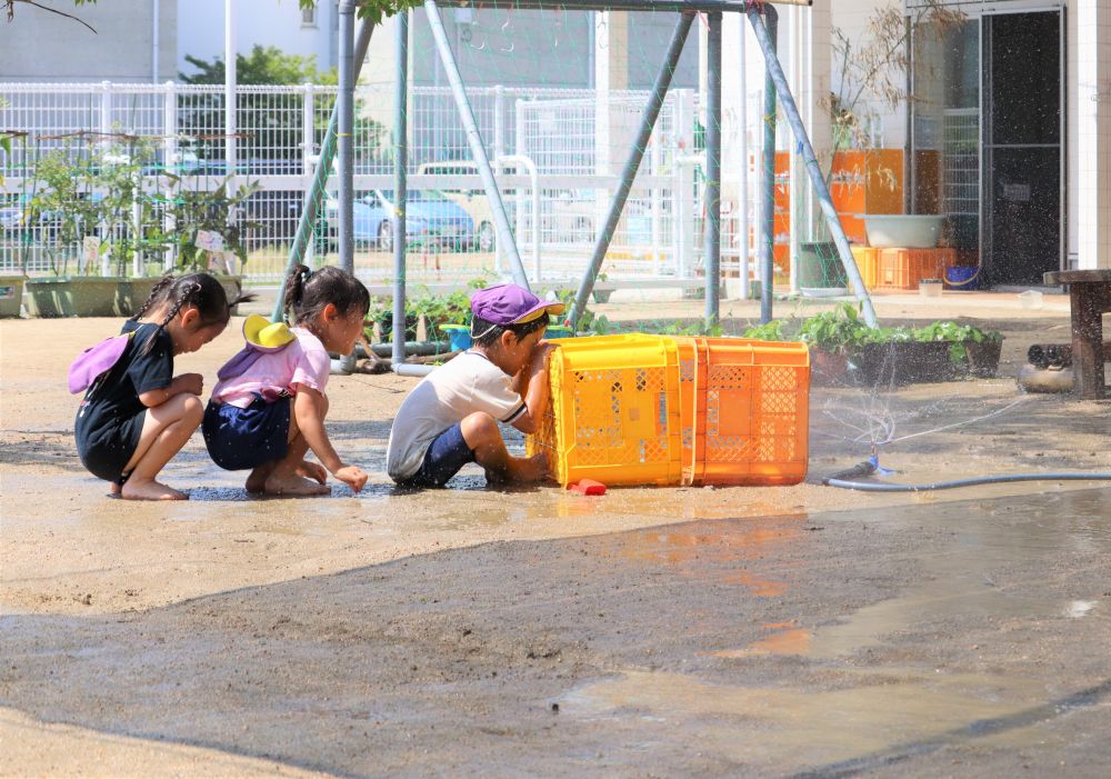 どんどん並ぶ‥

スプリンクラーの場所が変われば‥
また並ぶ場所も変わる
