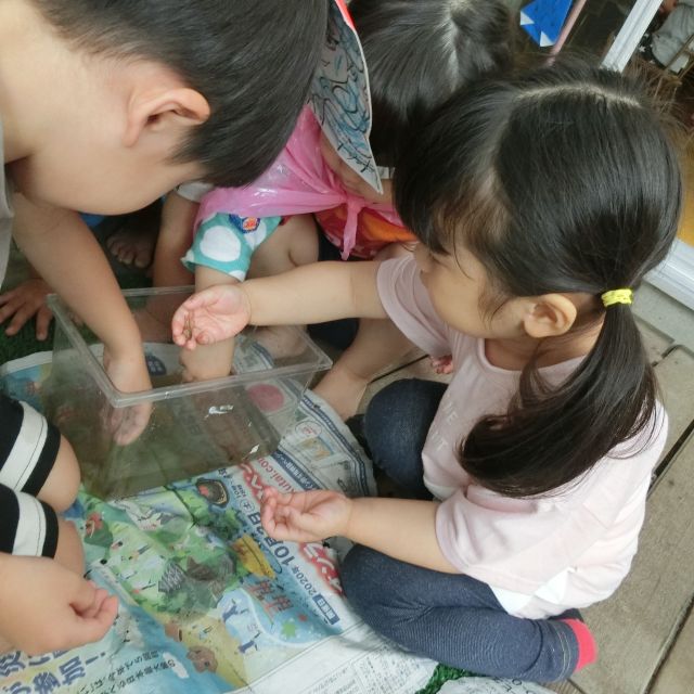 虫のおともだち　＊3歳児＊