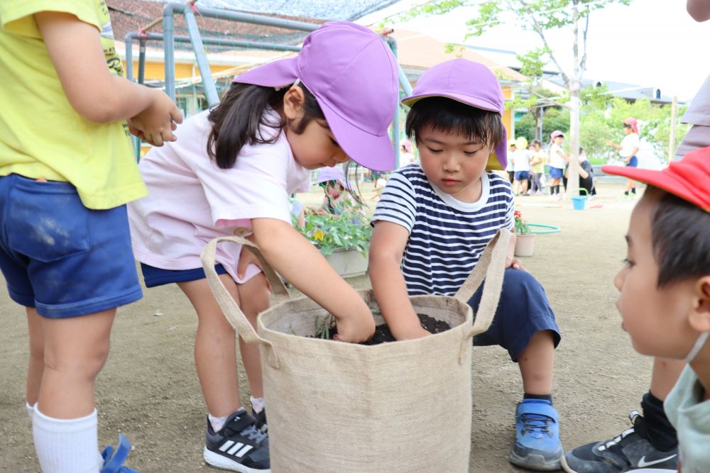 苗を植え付けていきます

気になって5歳児の友達ものぞきにきました