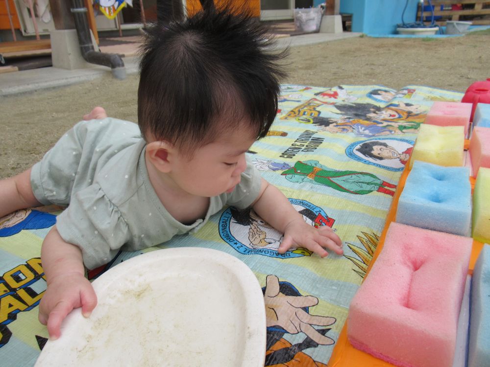 ゆめはうす認定こども園でいちばん小さいRちゃんも水遊び♪
シートの上にたまっている水を、指でそ～っと触っていました

これから暑い夏がやってきます！
水の気持ち良さ、感触をたくさん楽しみたいと思います♬