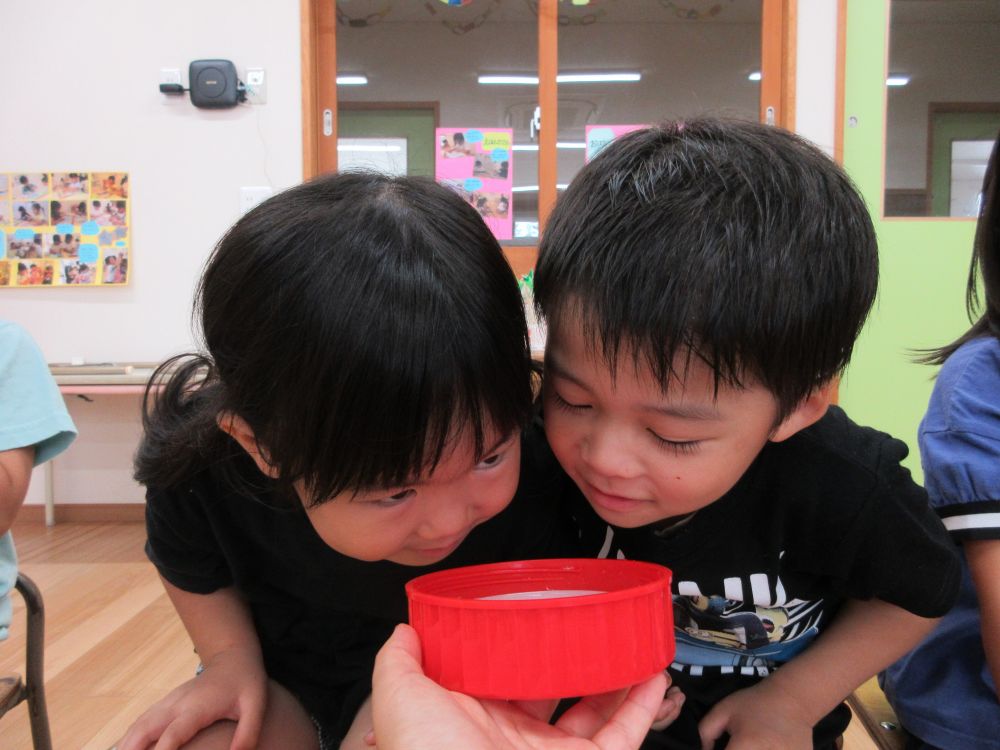 そしてついに2週間経ち
氷砂糖が全部溶けて飲める日が・・・♡
「やったー！どんな味か楽しみ！」
「酸っぱいじゃろうね！」
「いや、甘いんじゃないん？」　予想は様々

実際に匂ってみると・・・
「・・・！？・・・すっぱい！」
「においがちょっと苦手・・・」
「梅のいい匂い！」　　などなど・・・
