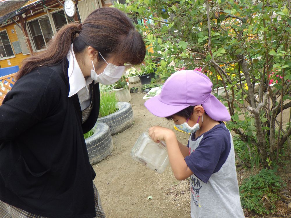 虫探し中のHくん
「迎えに来たらいつもここにいるのは
  虫探ししてたんだね」　とお母さんも納得の様子
