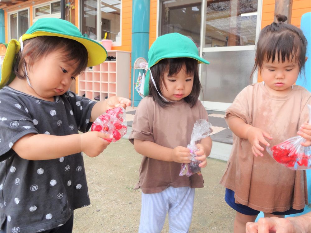 水遊び大好き！
不思議なこと大好き！

自然なものを使って色を自分で作る・・・



園庭に咲いている花をビニール袋に水と入れて手のひらでモミモミ・・・
思った通り「モミモミ」と声をかけると小さな手でモミモミ♡
