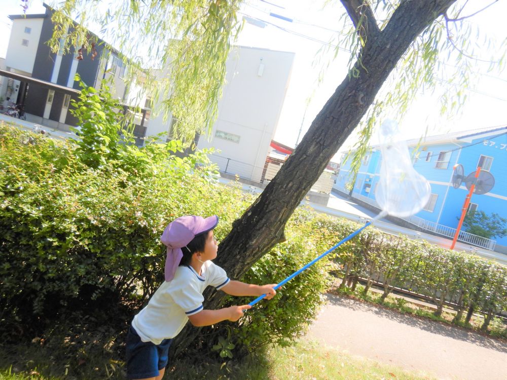 虫が大好きなRくん
虫取りあみを豪快に！！
「おりゃ！！」　「捕まえた！！」