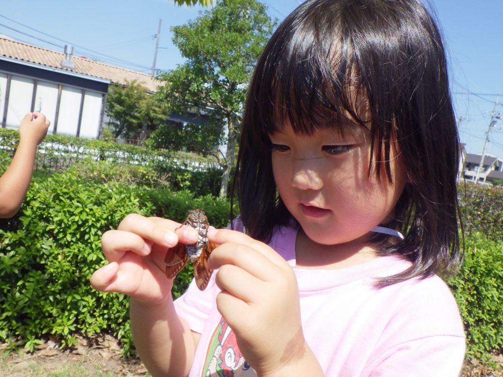 捕まえた後はじっくり観察！！
「足がチクチクする」　とAちゃん