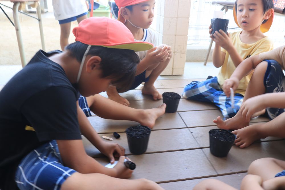 ポットに土を入れ植えてみました
もう暦の上では秋
8月も終盤に差し掛かり気温は下がっていきますが
どんな結果になるのか？
大人は分かっているけれど・・・
子ども達は自分で経験