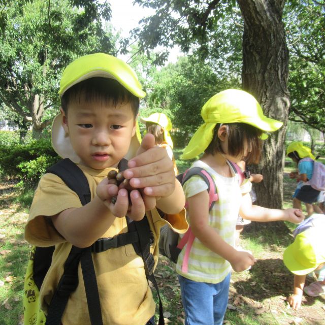 ＊　3歳児　秋の散歩　＊