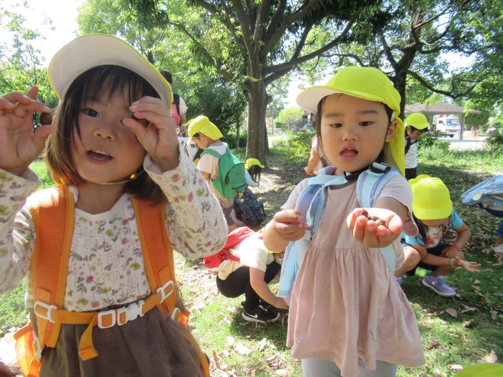 「茶色いどんぐりみーつけた♪こっちは緑！！」

「ちっちゃいどんぐりと大きいどんぐりどっちが好き？」

どんぐりの色や大きさの違いを楽しんでいます♡