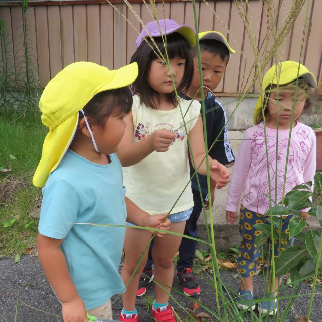 夏から秋へ　～植物