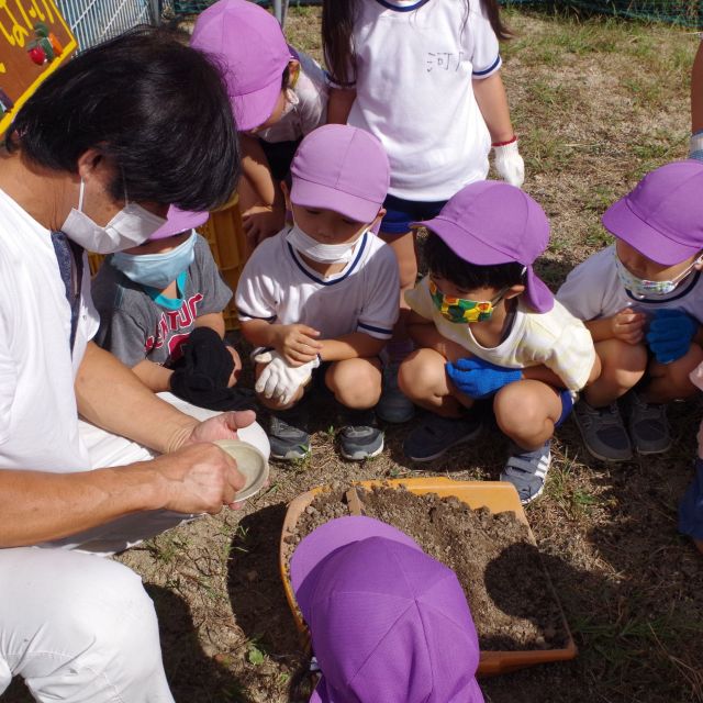 ＊　４歳児　菜園活動　＊