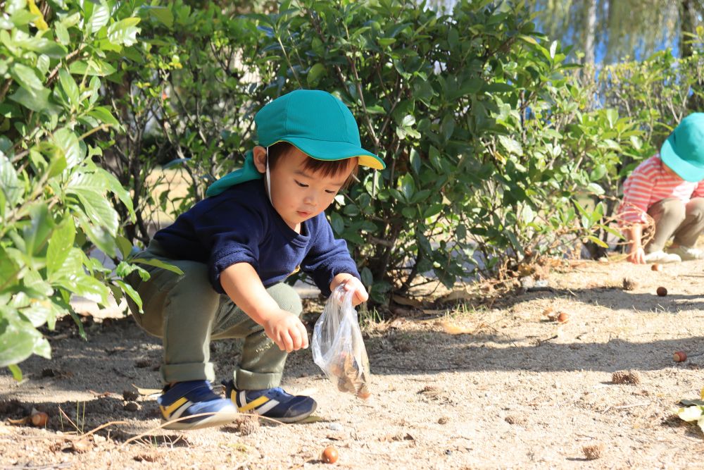 天気も良く、風が気持ちいい

今日は1歳児ヒヨコ組さんは尾道東公園に行きました
今の季節は何と言っても
みんな大好き「どんぐり」

たくさんのどんぐりを夢中で拾いました