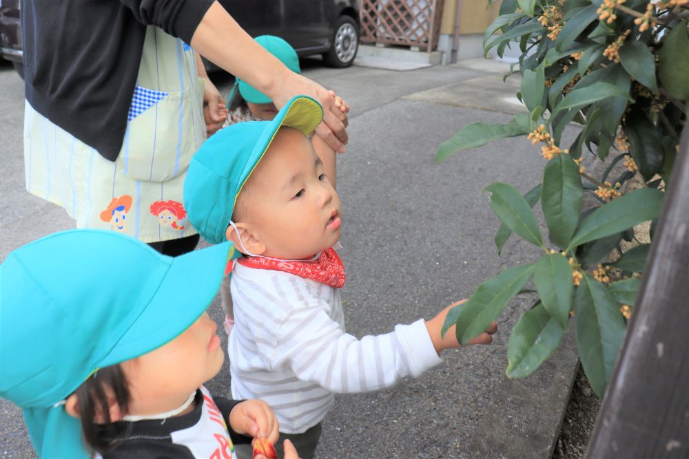 帰り道・・・
ちょっと道草

秋ならでは！
キンモクセイのニオイをみんなで嗅いで帰りました
