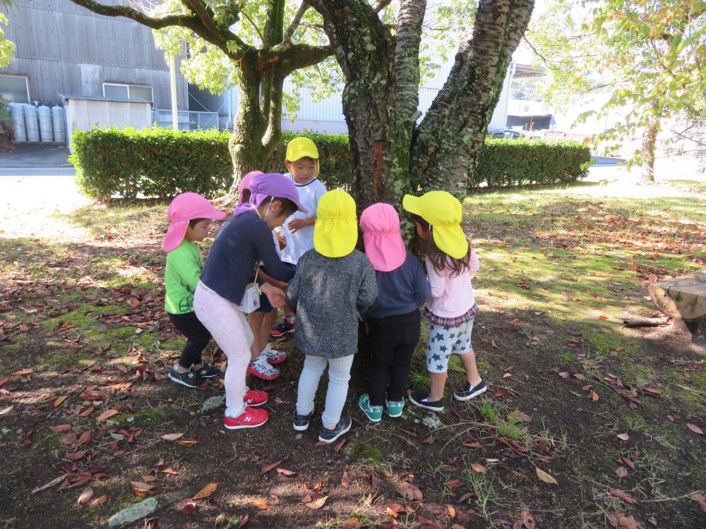 運動会の後のお散歩🎵
　　誰かが何かを見つけると、
　　　　　みんなで集まって・・・

一体感を感じる場面でした😊
