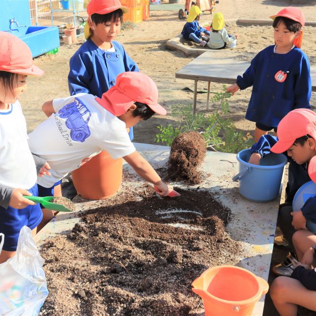 ＊　5歳児　樹木の植え替え　＊