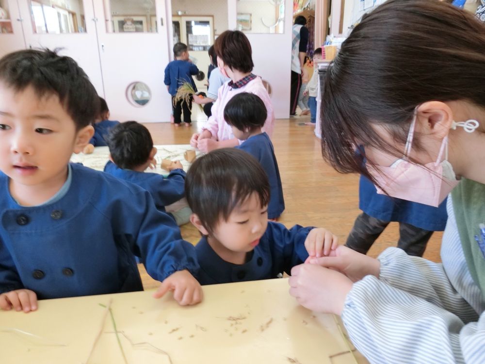 「こ～やってやったらうまくいくんじゃない？？」
と先生と一緒にやってみようとする姿がいいね～！

実りの秋🌾
収穫の喜び、一緒に感じることができました。
掲示板に収穫の様子などをはっていますので、またご覧ください。