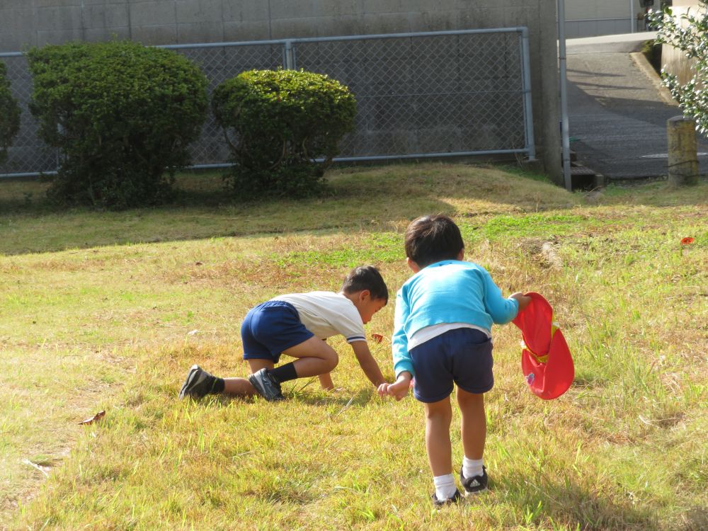 捕まえるまで諦めない
粘り強さと集中力・・・

たくさんの虫を捕まえ・・
嬉しそうな笑顔を見せてくれました♡

園に戻ると早速、虫の家作りに大忙し