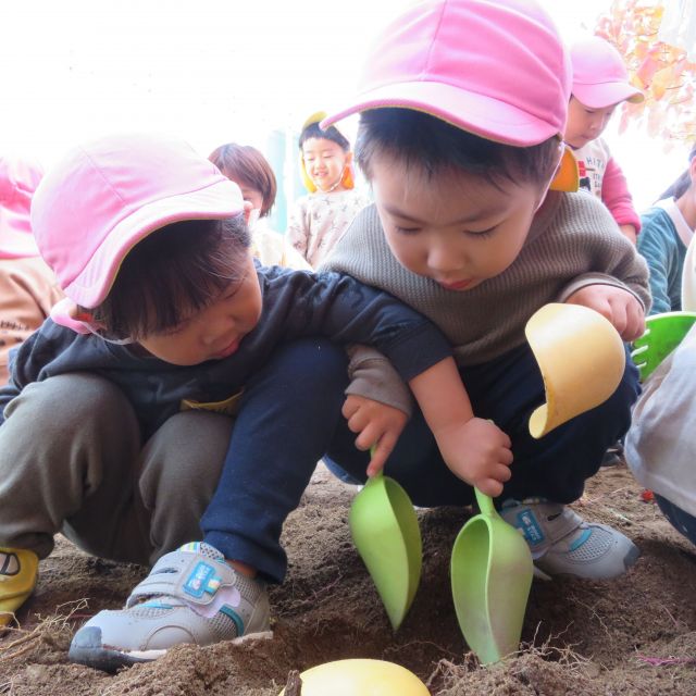 おいも堀りしたよ！②　～2歳児　クマ組～