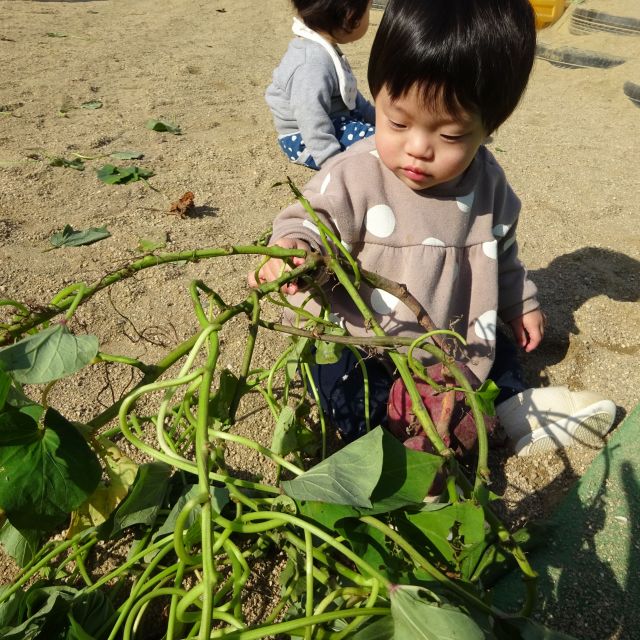 大好きな園庭あそび　　～0歳児　ウサギ組～