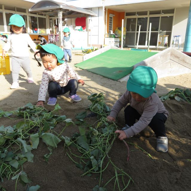 いもほりごっこ①　～1歳児　ヒヨコぐみ～