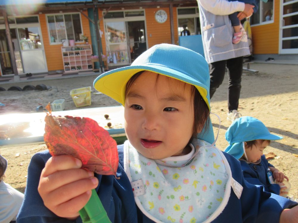 「あった！」と言いながら葉っぱ見るIちゃん、日の光にすけて、綺麗です

この時期ならではの遊びを、思う存分に楽しんでいます