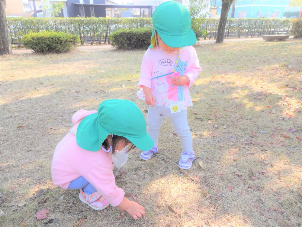 
自分のカバンに一つ一つ選びながらどんぐりを入れてその都度確認のSちゃん、Sくん・・・
どんどん拾ってあれもこれも入れていくIくん・・・
友達の様子を見てやっと探し始めるAちゃん・・・
それぞれの思いのある”いいものさがし”になりました
