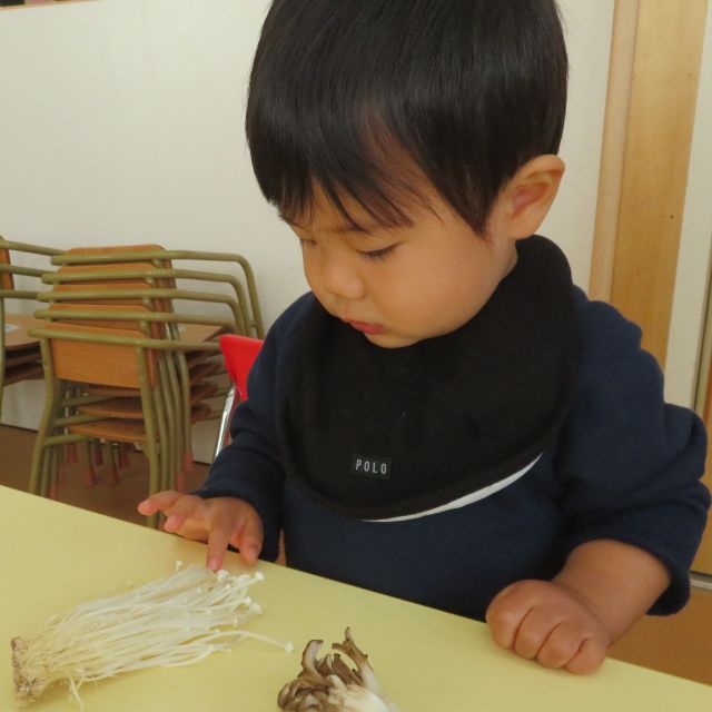 食育の会　〈きのこ〉🍄🍄