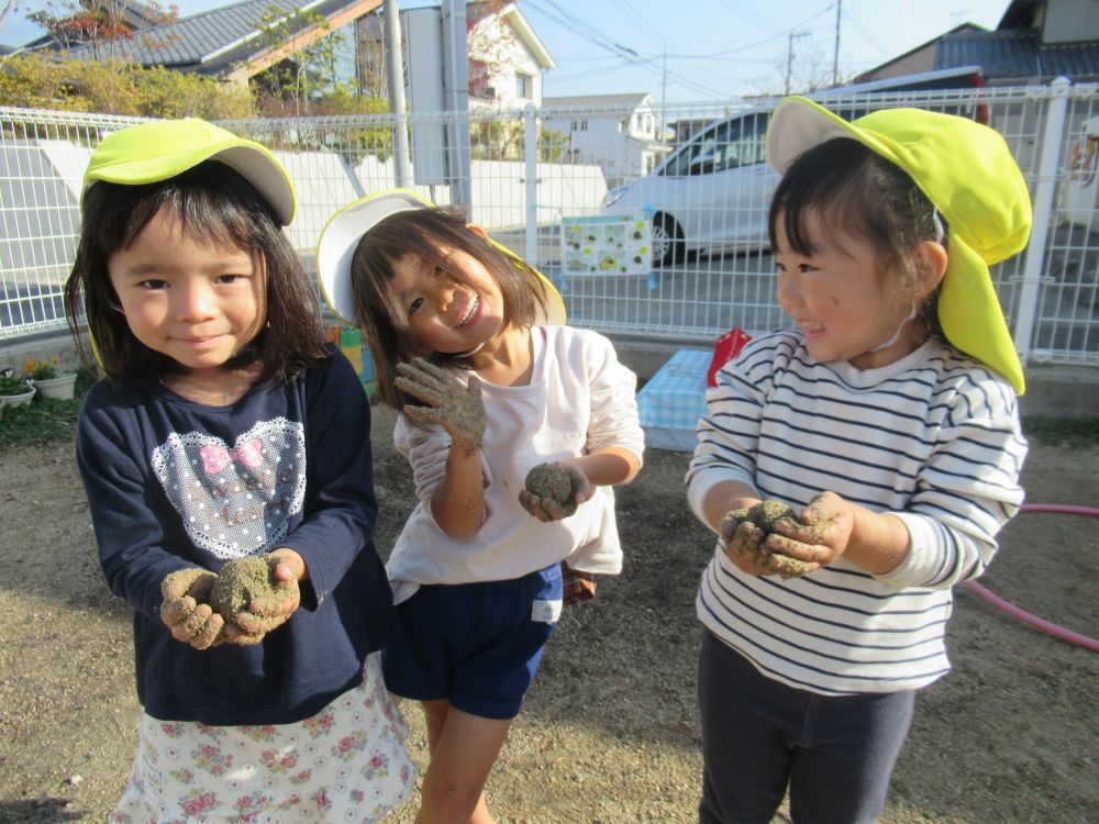 「今日は寒いね～」　友達と会話しながら、秋から冬へと少しずつ気候が変化していることに気が付き始めた子どもたち
でも寒いなんて関係ないね！！園庭で友達と一緒に元気いっぱいに好きな遊びを楽しむ



「お団子見て～」「つるつる団子にしたいよね」
春からずっと続いているお団子づくり・・・夢中になれる遊びがあるってすごいこと♡

