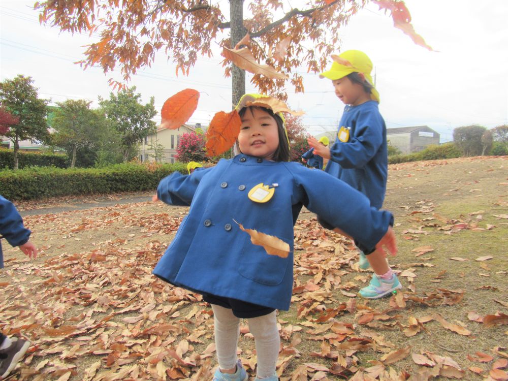 発表会が終わった次の日のみんなの表情は達成感に満ち溢れ、晴れやか♡
公園へ行くまでの散歩道では・・・
「昨日頑張ったよー！いっぱい褒めてもらったんよ」
「楽しかったね～」　　会話も盛り上がる



公園に着いたら落ち葉がいっぱい
「落ち葉シャワーだ～」
パラパラ～ガサガサ～
落ち葉の感触を体全体で感じて楽しむ

