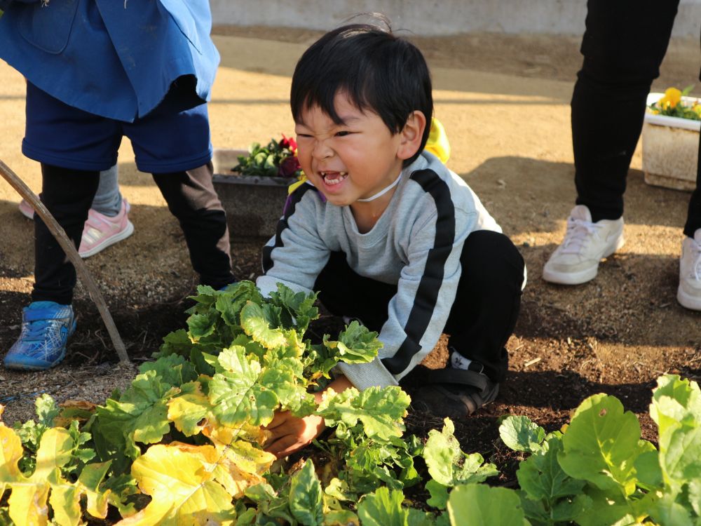 「どれにしようかな♪」
「大きいのがいいな」
「二個に分かれてるのがいいな」　思いはそれぞれ・・・♡