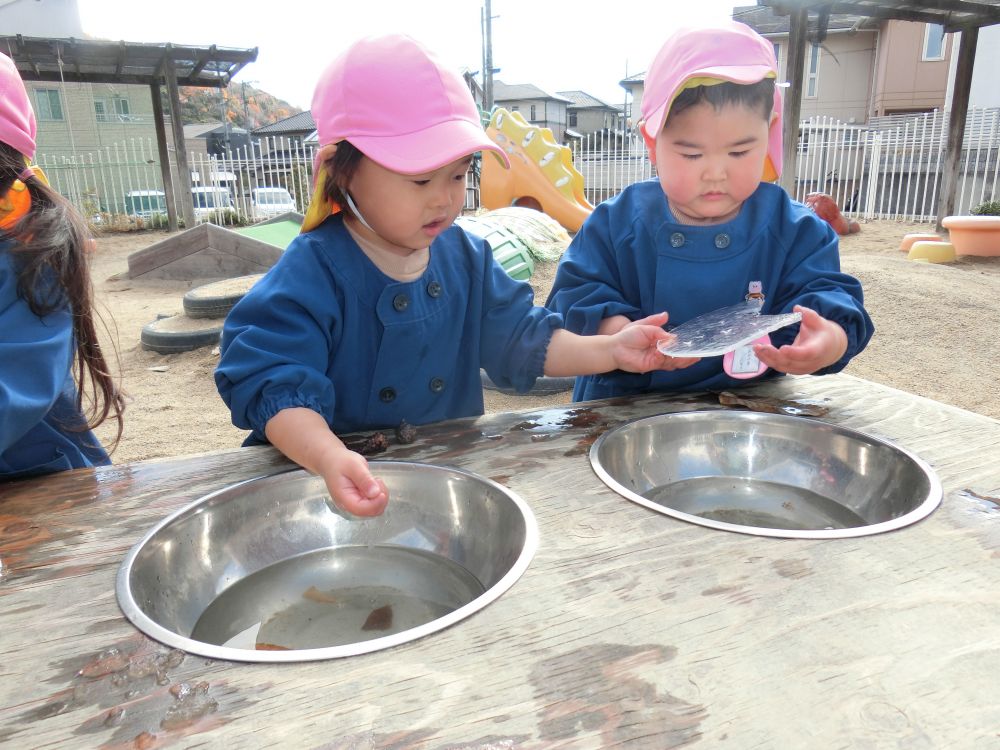 寒い寒い園庭。
子どもたちはこの時期ならではのものを発見しましたよ。
ボールの中をのぞいてみると...
Kくん「あ!かたいじゃん!」
Uちゃん「つめたいよ~!」