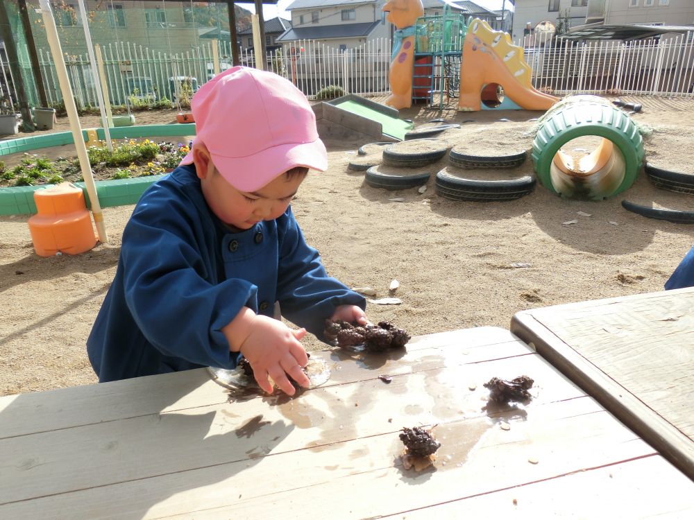 松ぼっくりも一緒に凍ってしまったみたい。
落ちてしまわないように、そ~っとそ~っと。
体調に気を付けながら、
この時期ならではのものに触れ、自然とかかわっていきたいです。