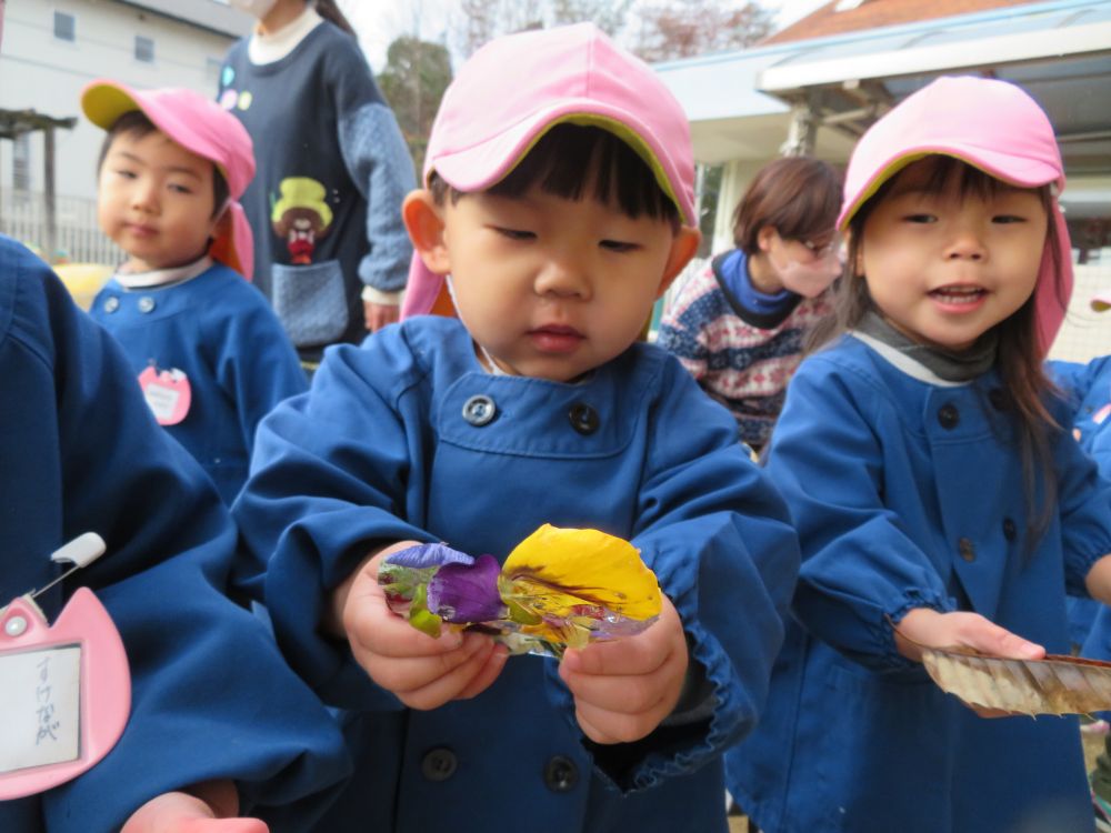 次の日・・・。

楽しみにしていた氷の様子を見に行くと
氷になっていなくてがっかりのクマ組さん！
「もう一回待ってみる！！」と
もう一日待つことに・・・。

更に次の日見に行くと
「うわあ！氷になってるよ～！！」