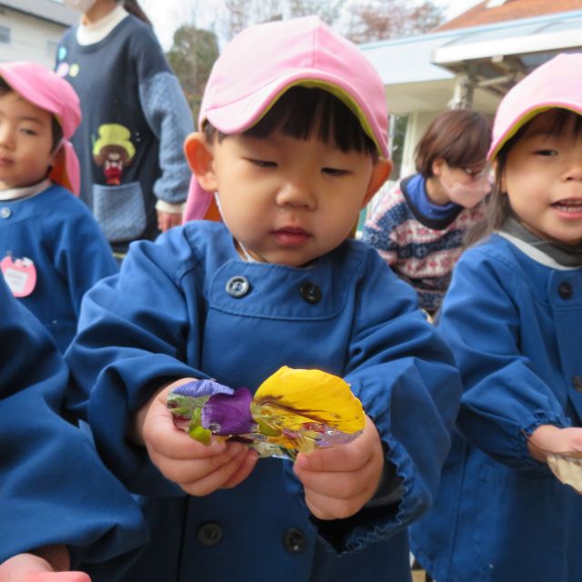 こおりだ～！！②　～2歳児　クマ組～