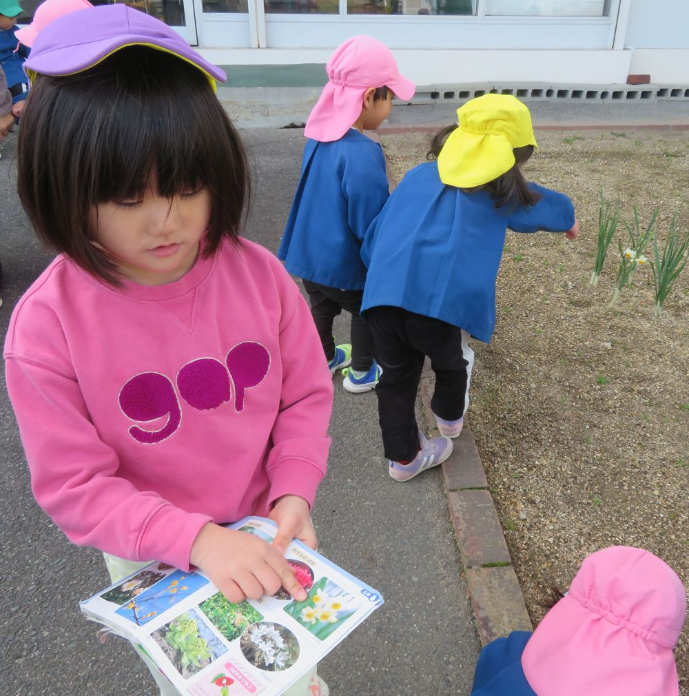 この花は”すいせん”

図鑑に載っている花をいっぱい見つけたね😄