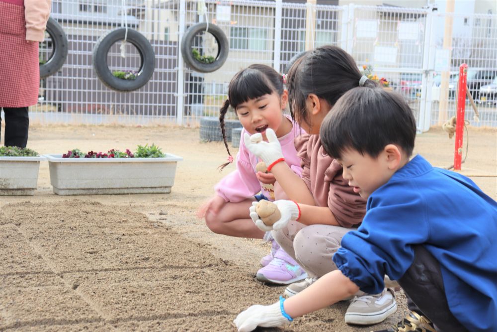 ウキウキ☆ワクワク♪

保育者「ジャガイモたくさんできたらどんな料理にして食べたい？」
子ども「ん～、フライドポテトがいい！」

今から楽しみでいっぱいです