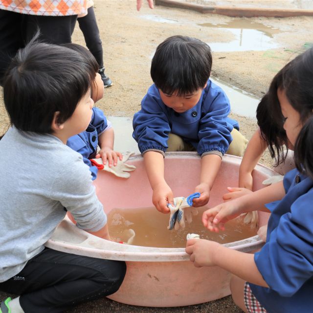 ＊　４歳児　菜園　＊