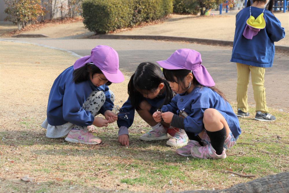 ナンキンハゼの白い実を一生懸命拾い集める女子達

「どんな風に使おうか？」
